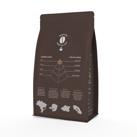 Pacamara