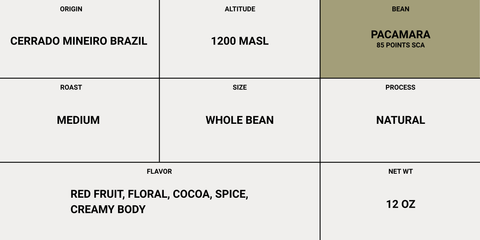 Pacamara