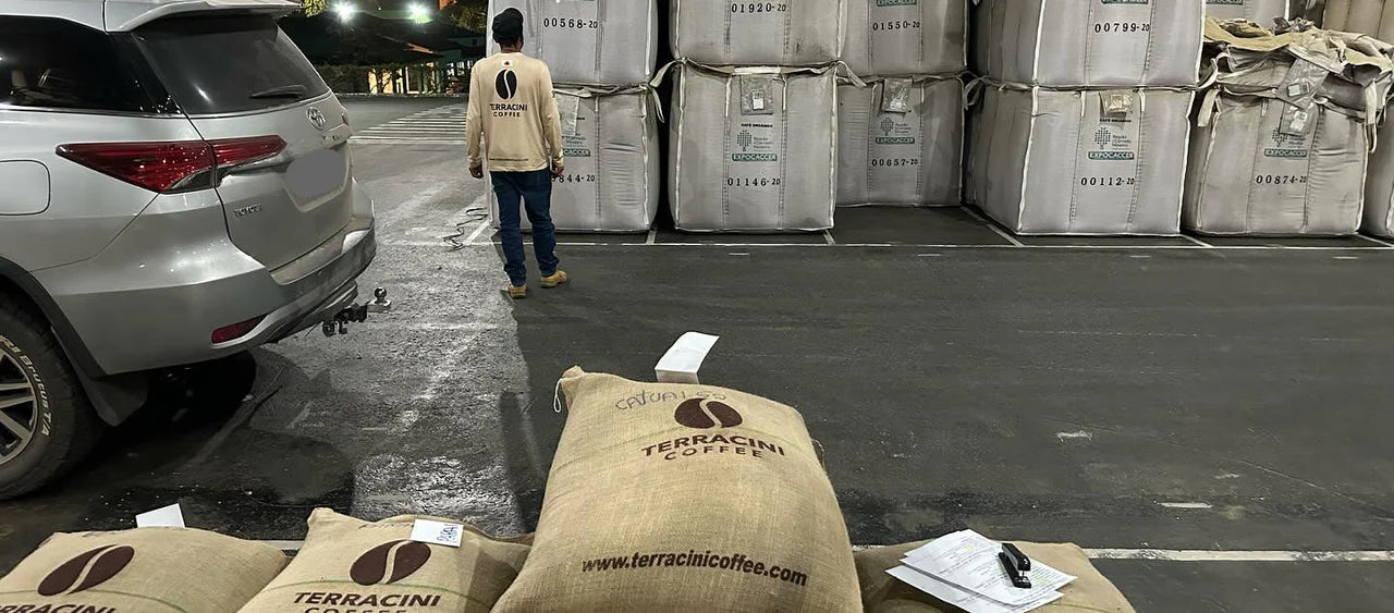 Wholesale, from one farm.